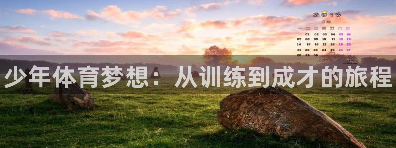 焦点娱乐官方网站首页入口在线观看