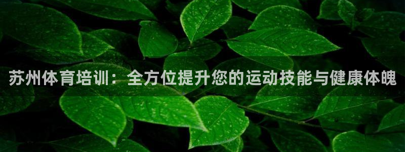 焦点娱乐游戏怎么玩的