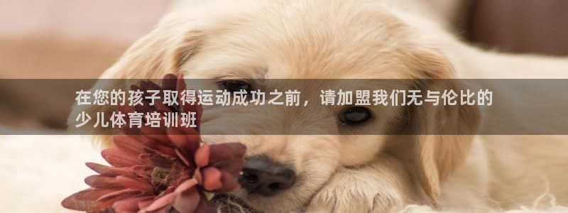 焦点娱乐议 411o31 娱乐：在您的孩子取得运动成功之前，