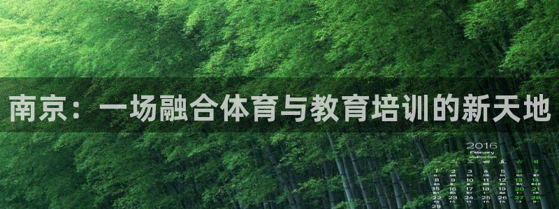 焦点娱乐挂机版下载