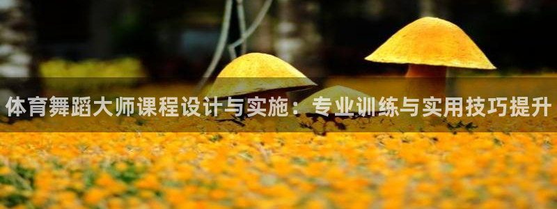 焦点娱乐平台客服热线电话：体育舞蹈大师课程设计与实施：专业训