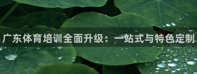焦点娱乐平台供7O777：广东体育培训全面升级：一站