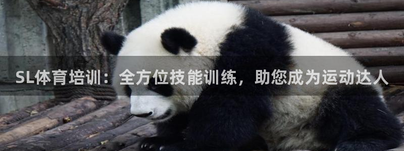 焦点娱乐平台客服电话号码是多少：SL体育培训：全方位