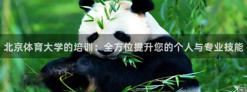 焦点娱乐股东持股比例：北京体育大学的培训：全方位提升