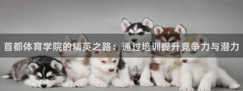 焦点娱乐官网下载安装手机版：首都体育学院的精英之路：