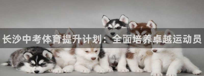 焦点娱乐门徒娱乐骗局曝光：长沙中考体育提升计划：全面