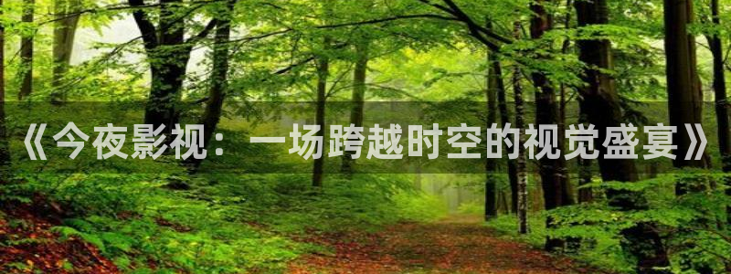 黑蚂蚁影视剧：《今夜影视：一场跨越时空的视觉盛宴》